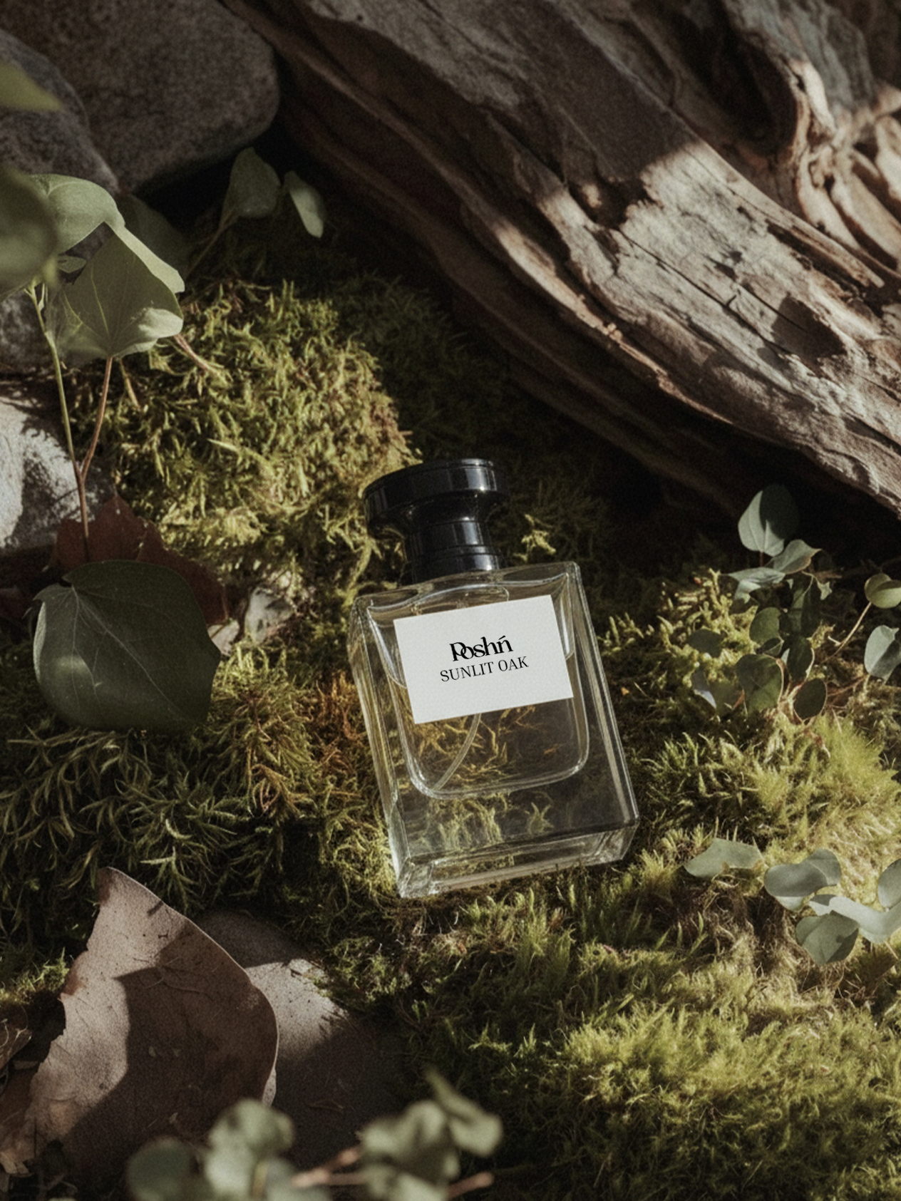 Sunlit Oak Eau de Parfum 50mL